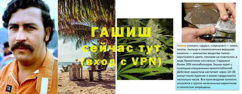 ГАШИШ hashish  что такое   Туринск 