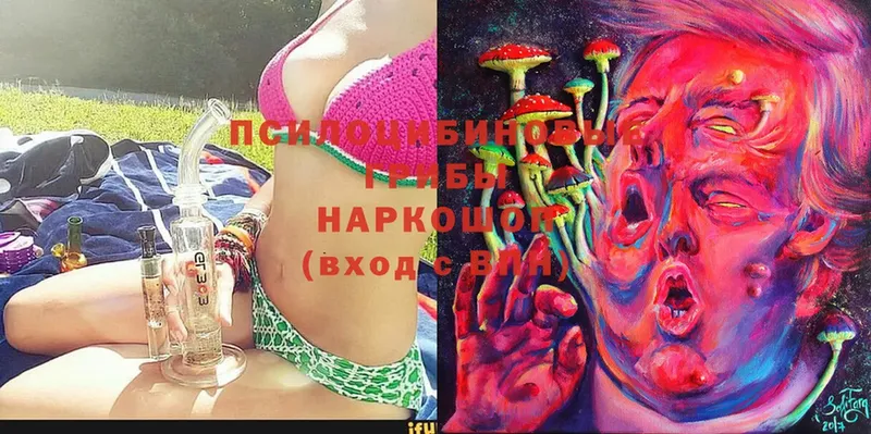 Галлюциногенные грибы MAGIC MUSHROOMS  площадка клад  Туринск 